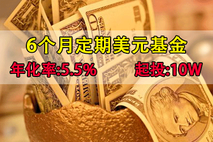 A34美元基金/Dollar Funds