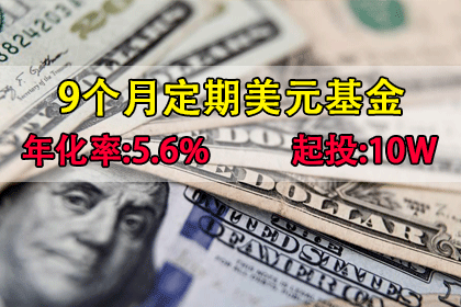 A31美元基金/Dollar Funds